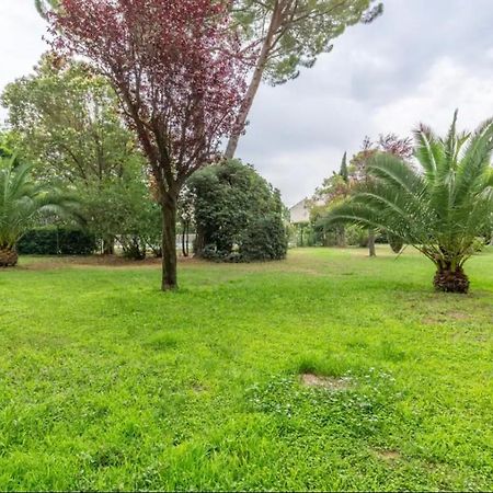 Cosy T3 - Jardin - Parking - Piscine Lejlighed Montpellier Eksteriør billede